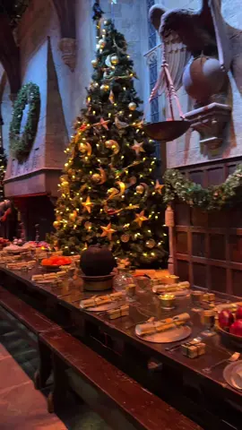 ugly crying #warnerbrosstudioharrypotter #warnerbros 