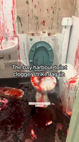 FAKE BLOOD, ITS KETCHUP NOT BLOOD TIK TOK  The bay harbour toilet clogger strikes again #dextermorgan #bayharbourtoiletclogger #toiletclogged #dexter 