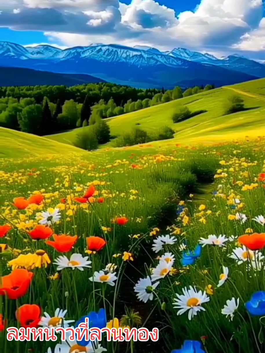 #creatorsearchinsights2025  #อนุรักษ์เพลงเก่า  #เพลงลูกกรุง  #ชรัมภ์เทพชัย  🎼ลมหนาวที่ลานทอง🎼 เพื่ออนุรักษ์เพลงเก่า เพื่อความบันเทิง #ฟังเพลงเพราะๆวิวสวยๆ 