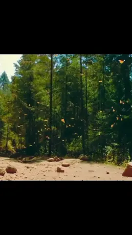 جب طے ہے کہ بھوک ہی مِٹانی ہےتو  پھر ذائقوں کی بنیاد پر دستر خواں نہ بدلیں 💯🤍