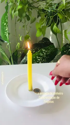 #dinheiro #simpatia #energiadodinheiro #sorte #caminhos 