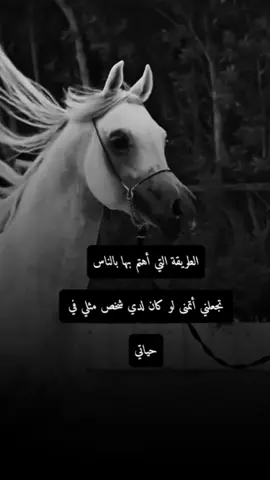 #اكسبلور #المهرة🐎#تصميمي #عبارات #foryoupage 