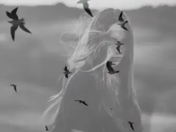 اجيلك وين وانتَ بلاية عنوان؟.     #ام_رمح #xuhuong #zxycba #fypシ゚ #duet 