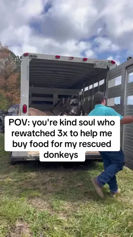 Your help is our hope #usa #unitedstates #usadonkey🇺🇸 #donkeysoftiktok #usa_tiktok 