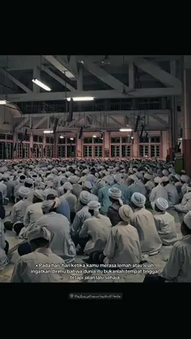 #มัรกัสยะลา #โยร์ #นักศึกษา #หาความรู้ #เด็กปอเนาะ 