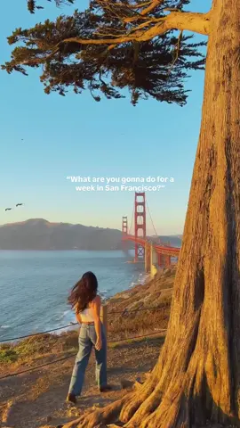 What’s your favorite spot in SF? 🫶🌁 (🎥: @Lola Hubner )