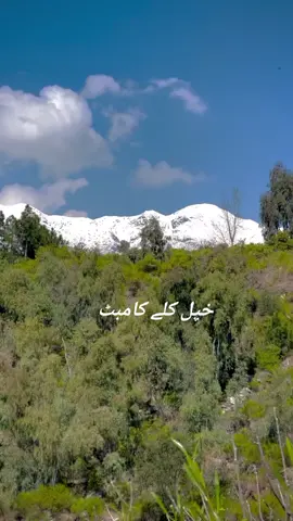 zamong da kale جوندہ zar dale wale Mene khwanda#@🍂Danجer🍂 @zabihullah505 @亗 𝚁 𝙾 𝙻 𝙴 𝚇 ☯︎ 