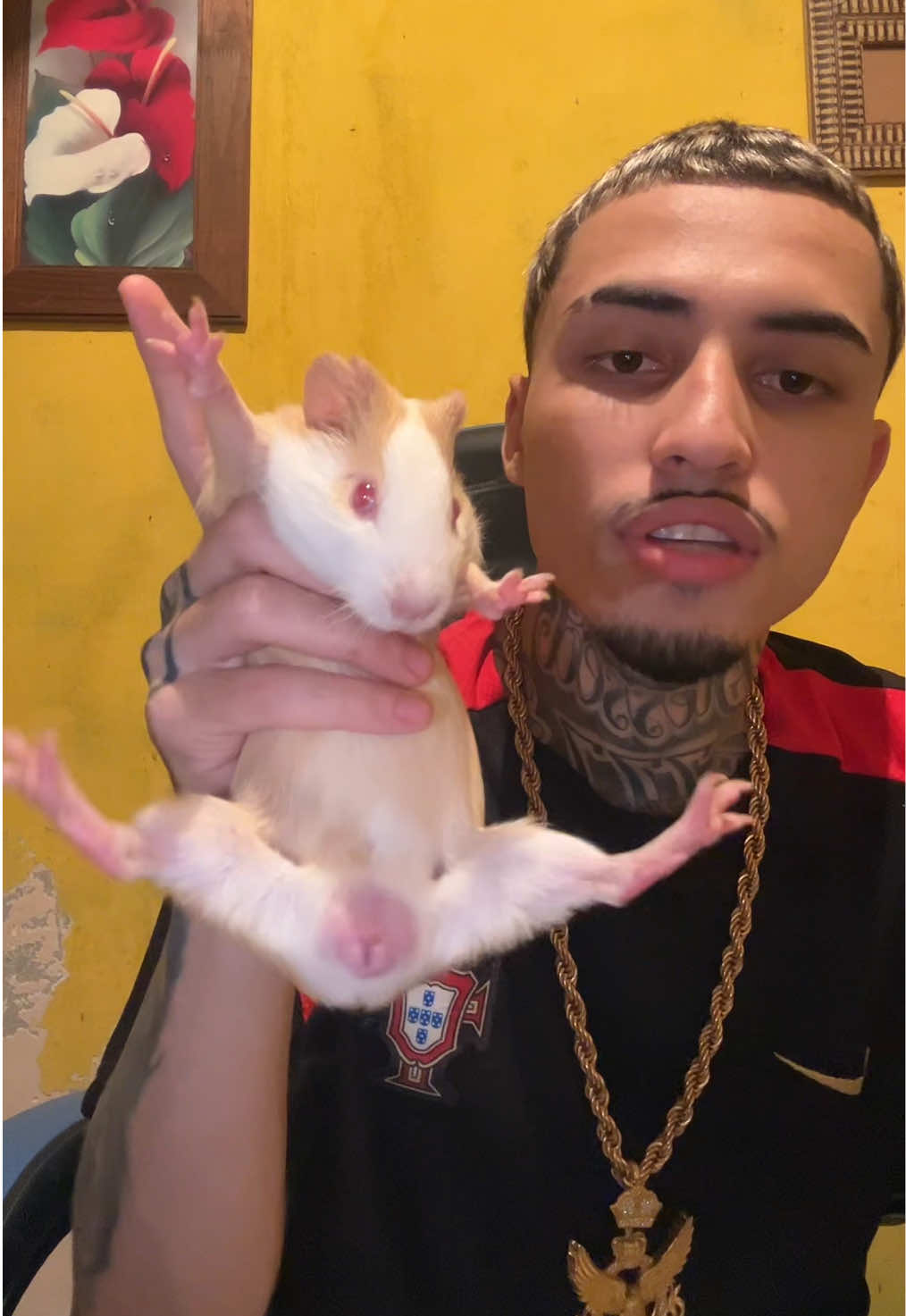 Eu e meu porquinho  #viral #fy #fyp 