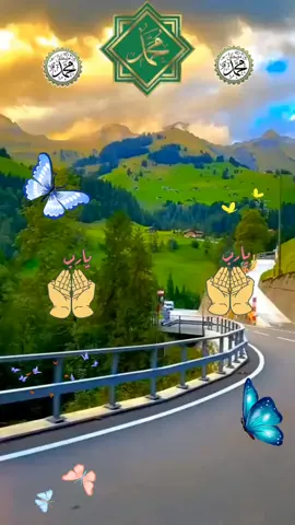 #صباح_الخير #صباحكم_معطر_بذكر_الله💚🌹🌿🌷😍🌸🙏 #صباحكم_أحلى_صباح #اصبحنا_واصبح_الملك_لله__صباح_الخير #صباحكم_معطر_بذكر_الله 