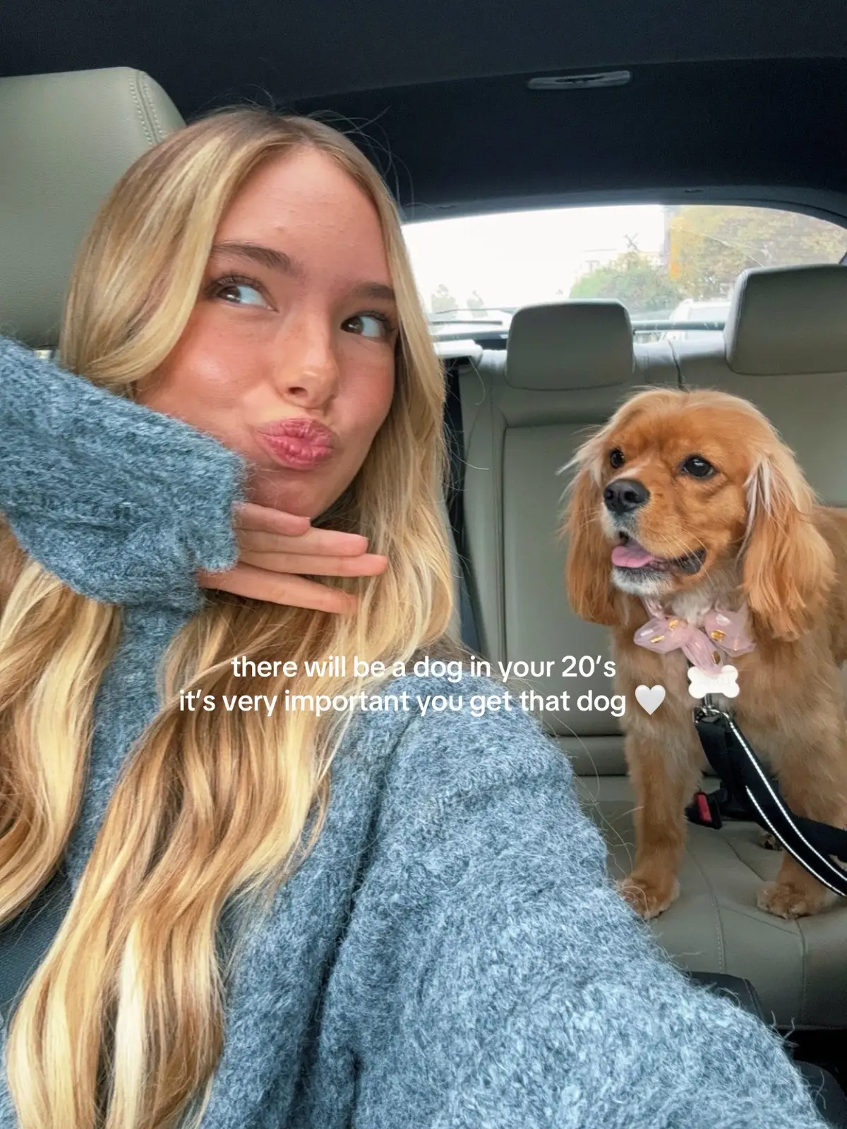 my soulmate dog for real I love my lunes 🤍