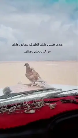 #سوريا_تركيا_العراق_السعودية_الكويت_عمان 