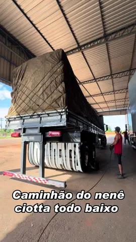 Carregando batatinha 🍟 