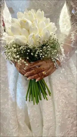 هلا بالعروسه 2026 قابله للتعديل حسب الطلب #زفه_عروسه #زفات #تخرج #مواليد #عروس 