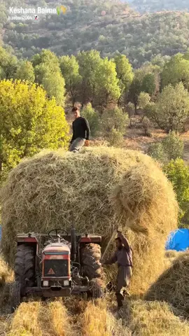 جميع انحاء العالم .. 🌺🌺🌺🌺