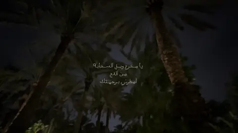 🌴                                                             #fyp | #Riyadh 