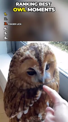 Follow for more! #comedy #ranking #funnymoments #funnyvideos 