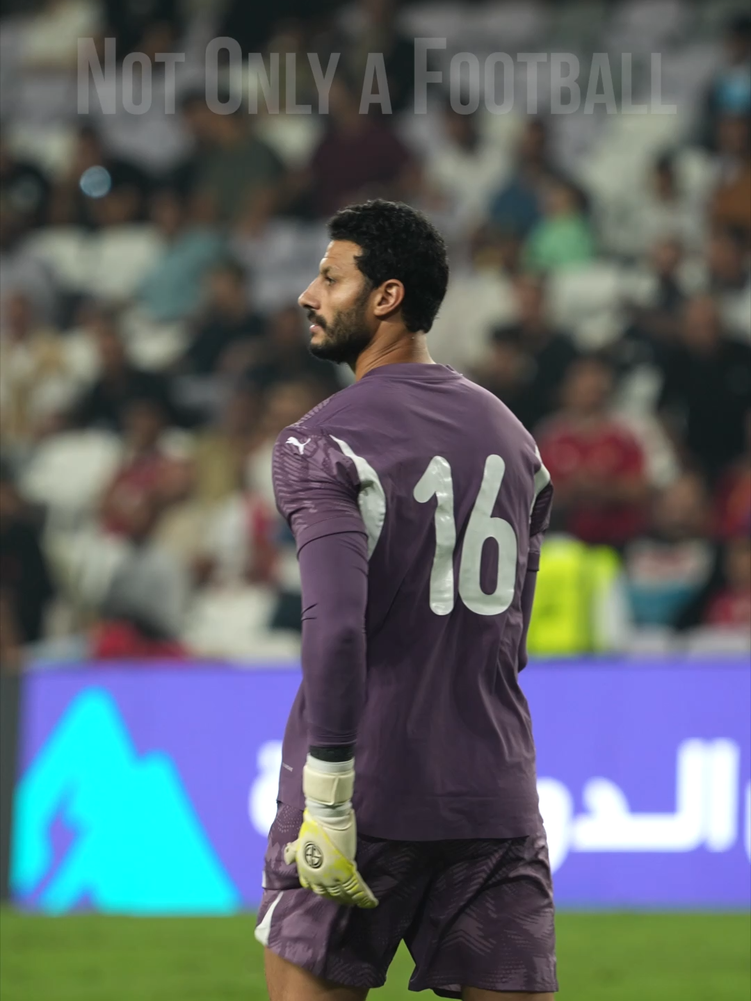 خناقة #حسام_حسن  مدرب #منتخب_مصر وقت تبديل #محمد_الشناوي مع  #مصطفي_شوبير #onsports #football #egypt #national_team #egypt_national_team #hossam_hassan #marmoush #goal #alaincup #alain