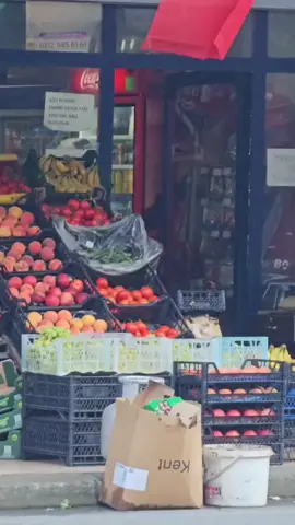 #راعي #الصناعي 👆🏻