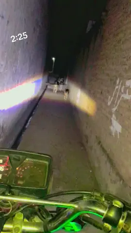 #🌹🌝🥀❤️🤍🖤🎼🥰 #💯💫✨🔥😭😭💥👀👀🌏🌎⭐🌟🔥❤️💖💞 #warza🤪🥀 #foryou #🥀🥀❤️❤️🥰🥰😘😘🥀🥰 spi ba de okhuri musafar ba de ganrina #💫💥🚬💘🔥👽🥃🤬💯🤩🤭💔👊 