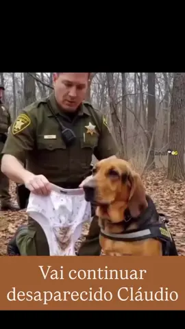 equipe leva vão farejador para encontar   dona Mafalda que está desaparecida #caesarzeppeli #drama #fantasia #policial #encontro 