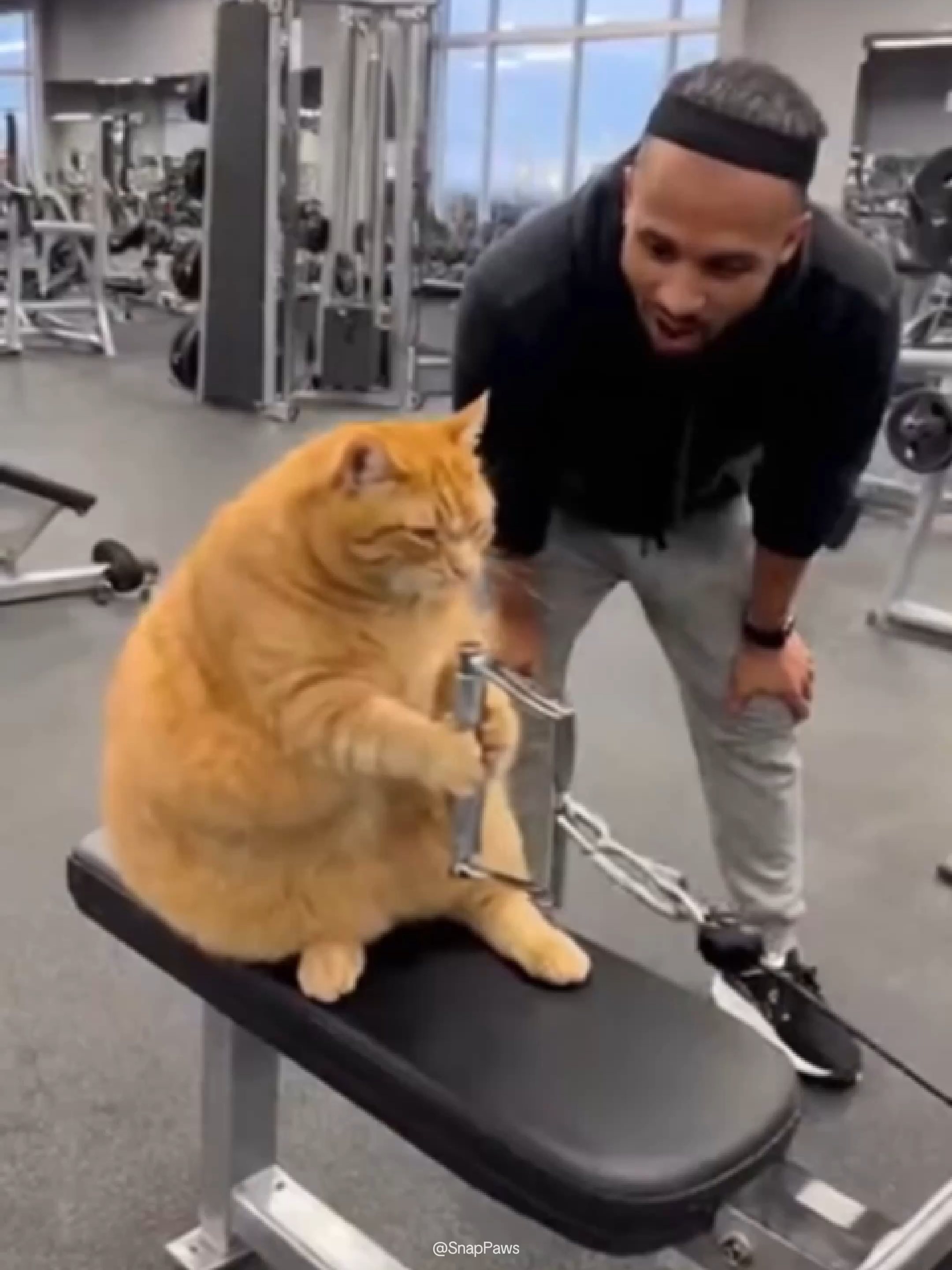 He’s trying to lose the ‘extra fluff.’