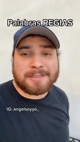 Video muy ilustrativo para que entiendan qué es un CHIRIWILLO!!  #chiriwillo #chiriwhiskas #sanluispotosi🌵🇲🇽 #pachi #palabrasregias 