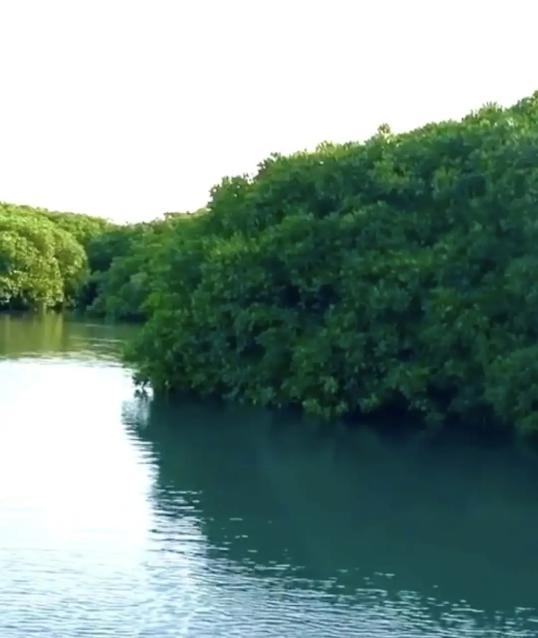 #اكسبلورexplore  #جزرفرسان  #مشاهدات_تيك_توك  #مشاهداتي @♪ ﮼محمدعبده | 𝙸𝚋𝚛𝚊𝚑𝚒𝚖🎙 