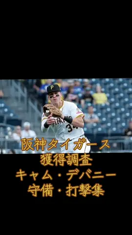 #野球#阪神タイガース#キャムデバニー 