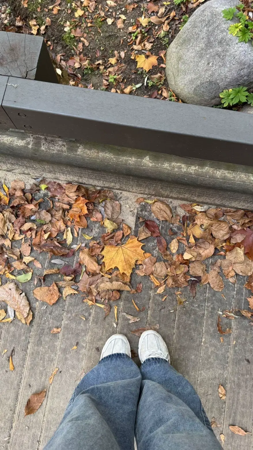 #seoul #🇰🇷 #like #fyp  