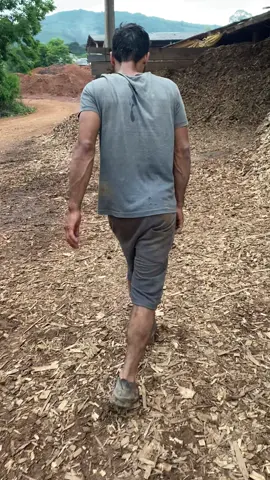 #fy #vaiprofycaramba #viralvideotiktok #viraltiktok 