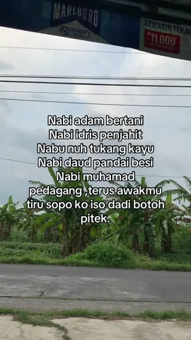 #ayambangkoksuper #ayambangkokindinesia #fyp #foryou 