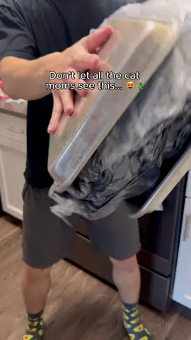 Tag a cat mom below! #cats #catmoms #cute #cats #winter 