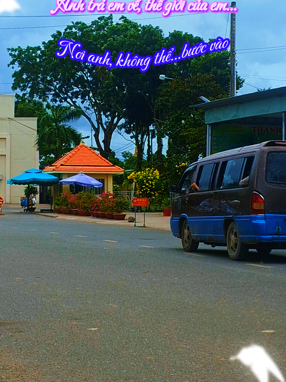 Xin trả cho người, từng lời thương, lời nhớ...🥰🥰🥰 #canhdep  #tamtrangbuon  #mientay  #phuot  #phuotluon 