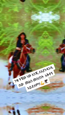 #እልከኛዋ #ንስሯ🦅 #🦁🦅🔥 