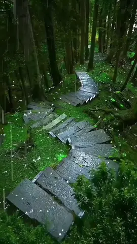 #algeria #motivation #nature #foryoupage❤️❤️ 