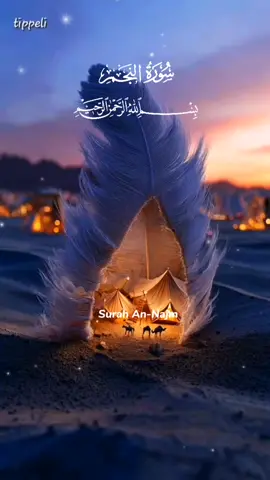 #CapCut #راحة_نفسيه🤍🌹 #الاسلام🤍 #قران_كريم🤍🌹🌱 