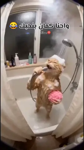 #برج_الحمل♈️ 