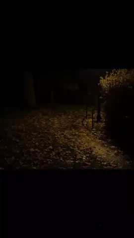 ما افارگ ضعونك|| مشترك سَيد سلام الحُسيني و محمد بَاقِر الخاقانـي#باسم_هواجيس_اخر_اليل_باسم_الكربلائي_ياحسين_شهادة_الزهراء #الشعب_الصيني_ماله_حل #باسم_هواجيس_اخر_اليل_باسم_الكربلائي_ياحسين #محمد_باقر_الخاقاني_قصائد_حسينية_ابداع_الرواديد_يالله_يامحمد_ياعلي_ #محمد_باقر_الخاقاني_ابداع_رواديد_الحسين_ابن_علي 