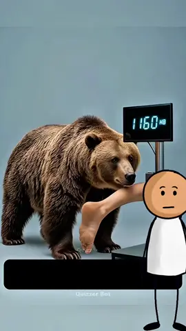 ¿Qué animal puede arrancarte la pierna?