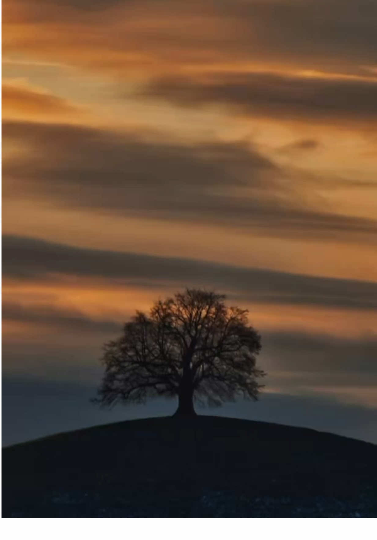 You are enough just as you are 🤍 ~ You are worthy just for simply existing. You are God’s child. You are a miracle of a creation. Don’t ever forget how loved you are. 143. • { Written By: Aysha Rashid } • Join The 143 Movement to help continue the spread of love, positivity, and Jesus Christ throughout this beautiful world that we all live in. 🌎 • • • #Love #godlovesyou #jesuslovesyou #inspireothers #thoughts #perspective #selflove 