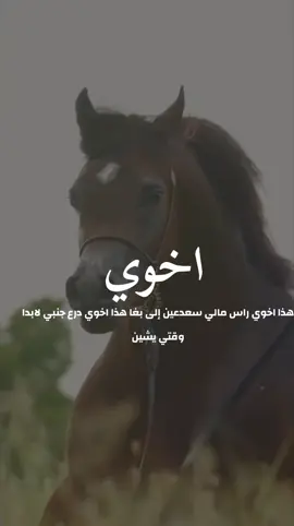 شيلة باسم اخوي 2025شيله مدح اخوي هذا اخوي راس مالي #شيلات_مدح_شيلات_تباريك_شيلات_زواج #السعودية_الكويت_الإمارات_قطر #شيلات_روعه_خواطر_ذوق #pppppppppppppppppppp 