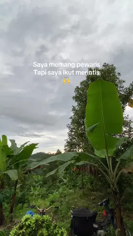 #petanikopi#petanimuda#fyp#foryou 