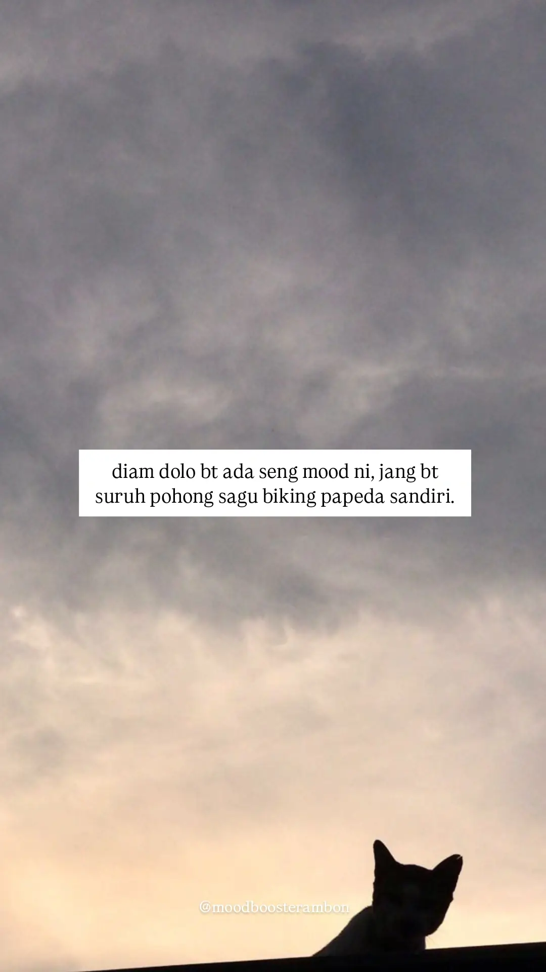 #moodboosterambon#fyp #foryou #ambon #katakata 