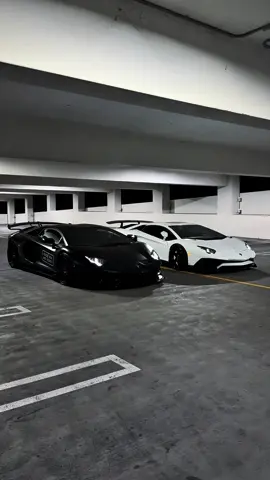 Machy machy  #fyp #aventador 