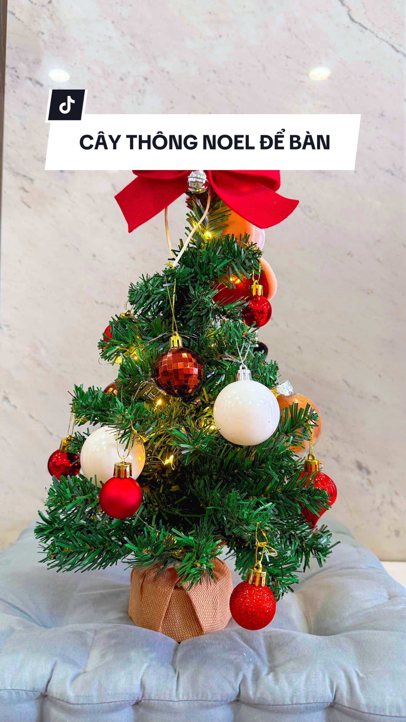 Cây thông Noel để bàn mini size 20/30/40/50cm (không kèm phụ kiện) 🎄⛄️🍮 #caythongnoel #noel #giangsinh2025 #review #trangtrigiangsinh