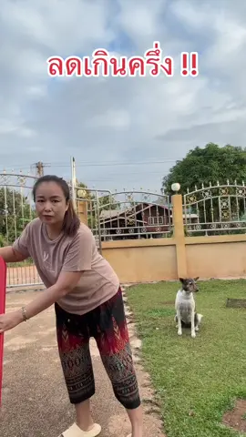 อ่างเปลขนาด 240 ลิตรงส่งฟรี#อ่างเปล #อ่างปูน #อ่างบัว #แก้วจ๋า_พารีวิว #tiktokshop10แบรนด์แท้คุ้มสุด 