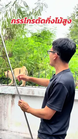 กรรไกรตัดกิ่งไม้สูงด้ามยาว #กรรไกรตัดกิ่งไม้สูง #กรรไกรตัดกิ่งไม้ด้ามยาว #ของดีบอกต่อ #tiktokshopmallบอกต่อ 