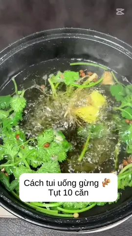 Món rau mùi gừng #thinhhanh #x #xuhuongtiktok 