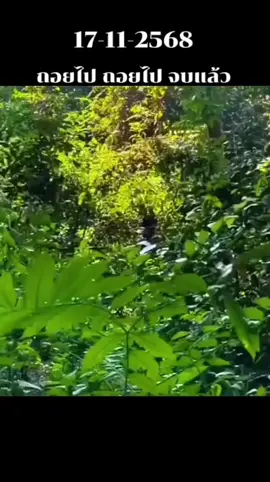 18-11-68 ทหารไทยและเขมรเผชิญหน้ากันที่ชายแดนเมื่อวานนี้ #ล่าสุด #ทหารเขมร #ทหารไทย #viral #viraltiktok 