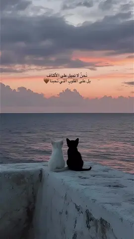 #اكسبلورexplore #اكسبلور #الشعب_الصيني_ماله_حل😂😂 #مصر 